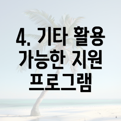 4. 기타 활용 가능한 지원 프로그램