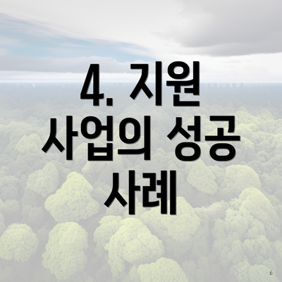 4. 지원 사업의 성공 사례