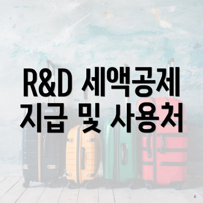 R&D 세액공제 지급 및 사용처