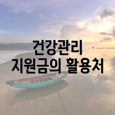 건강관리 지원금의 활용처