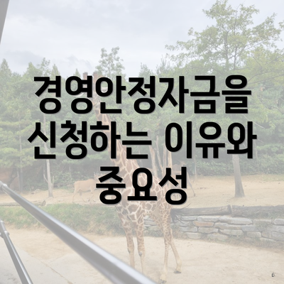 경영안정자금을 신청하는 이유와 중요성