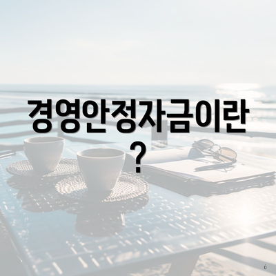 경영안정자금이란?