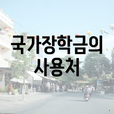 국가장학금의 사용처