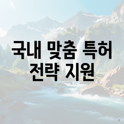 국내 맞춤 특허 전략 지원