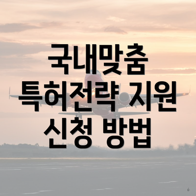 국내맞춤 특허전략 지원 신청 방법