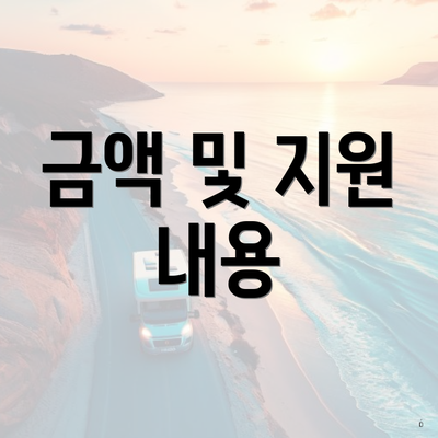 금액 및 지원 내용