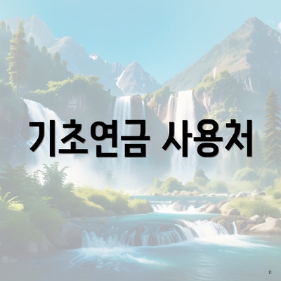 기초연금 사용처