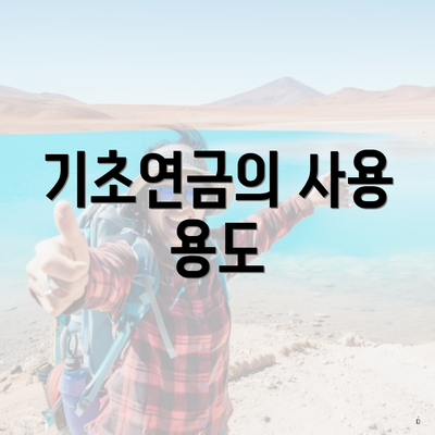 기초연금의 사용 용도