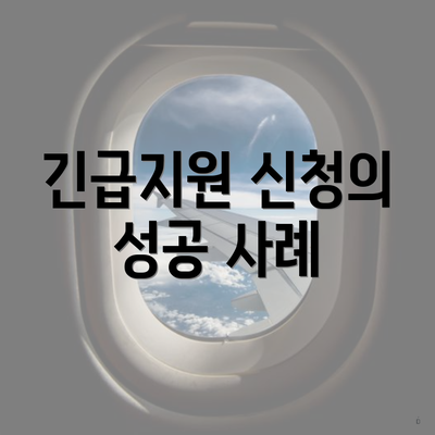긴급지원 신청의 성공 사례