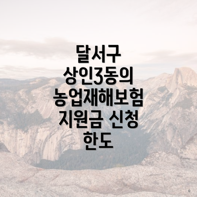달서구 상인3동의 농업재해보험 지원금 신청 한도