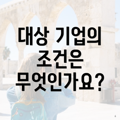 대상 기업의 조건은 무엇인가요?
