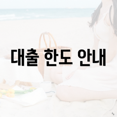 대출 한도 안내