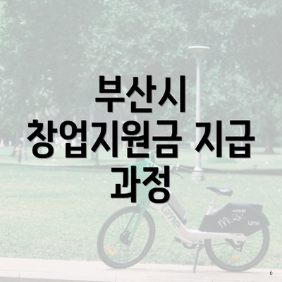 부산시 창업지원금 지급 과정