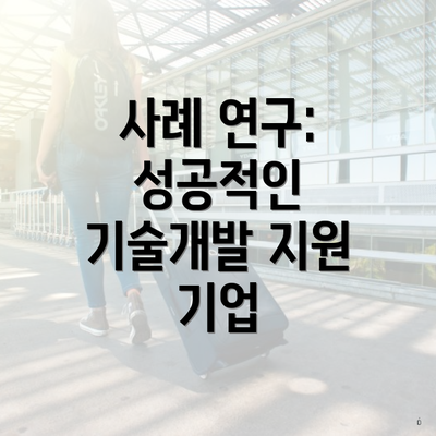 사례 연구: 성공적인 기술개발 지원 기업