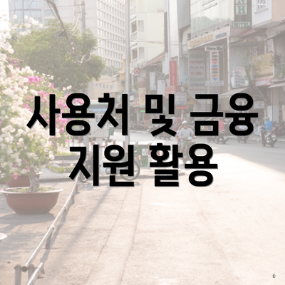 사용처 및 금융 지원 활용