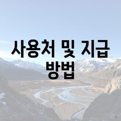 사용처 및 지급 방법