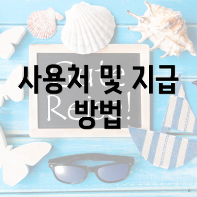 사용처 및 지급 방법