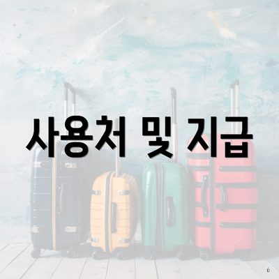 사용처 및 지급
