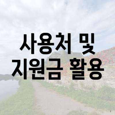 사용처 및 지원금 활용