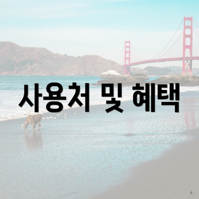 사용처 및 혜택