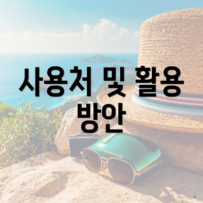 사용처 및 활용 방안
