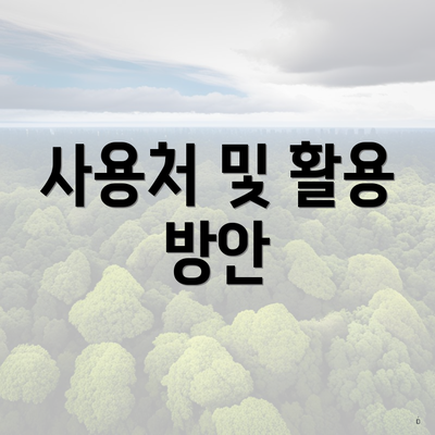 사용처 및 활용 방안