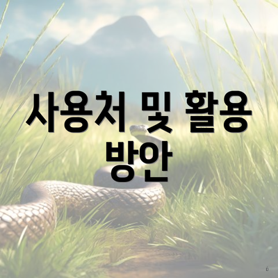 사용처 및 활용 방안