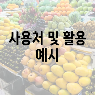 사용처 및 활용 예시