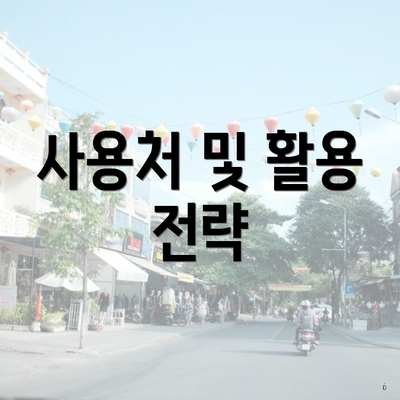 사용처 및 활용 전략