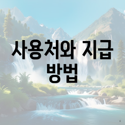 사용처와 지급 방법
