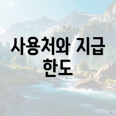 사용처와 지급 한도