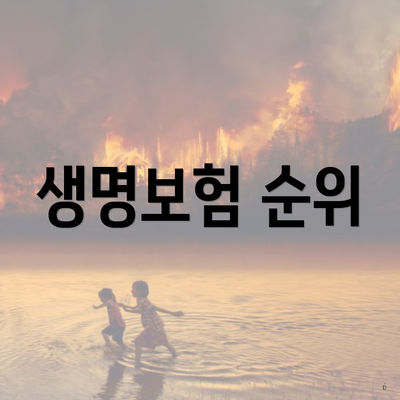 생명보험 순위