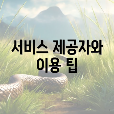 서비스 제공자와 이용 팁