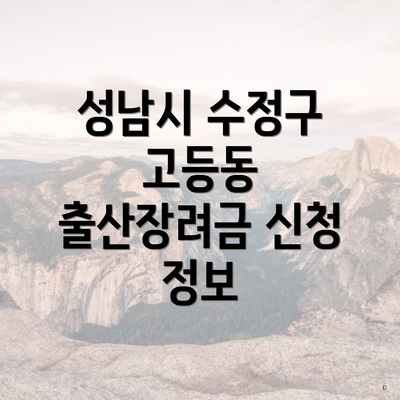 성남시 수정구 고등동 출산장려금 신청 정보