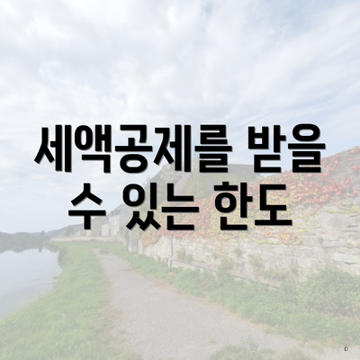 세액공제를 받을 수 있는 한도