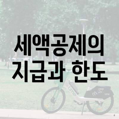 세액공제의 지급과 한도