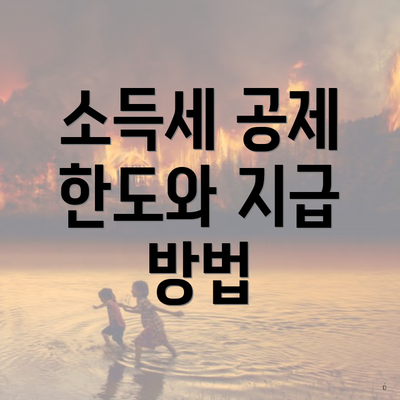 소득세 공제 한도와 지급 방법