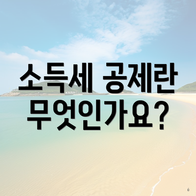 소득세 공제란 무엇인가요?