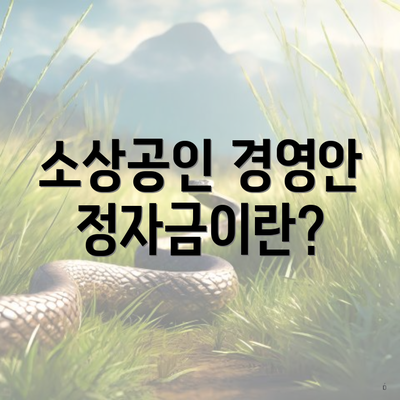 소상공인 경영안정자금이란?