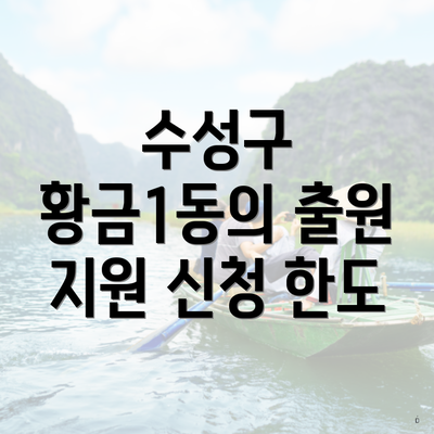 수성구 황금1동의 출원 지원 신청 한도