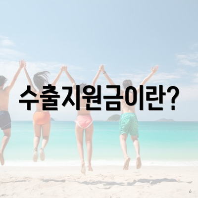 수출지원금이란?