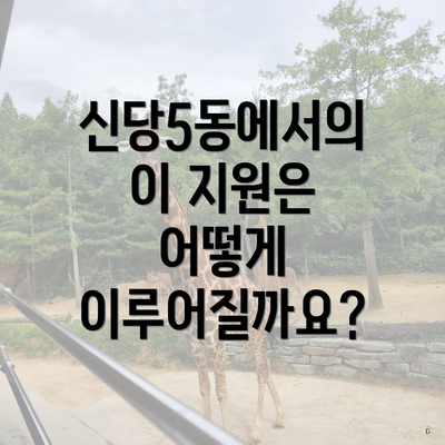 신당5동에서의 이 지원은 어떻게 이루어질까요?