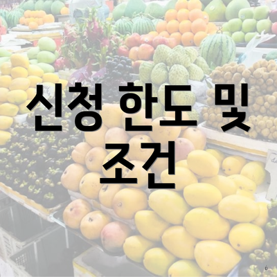 신청 한도 및 조건