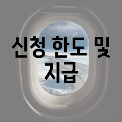 신청 한도 및 지급