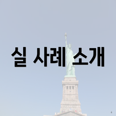 실 사례 소개