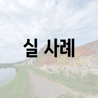 실 사례