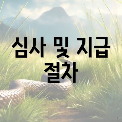 심사 및 지급 절차
