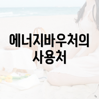 에너지바우처의 사용처