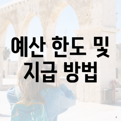 예산 한도 및 지급 방법
