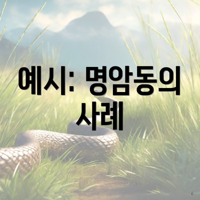 예시: 명암동의 사례